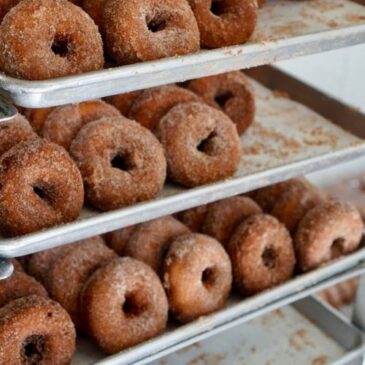 Barton Orchards Cider Donut Bakery*