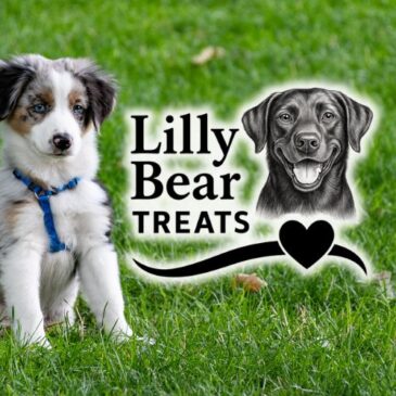 Lilly Bear Treats